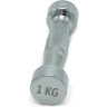 Гантель UNIX FIT PRO круглая хромированная 1 кг DBRND1PCE